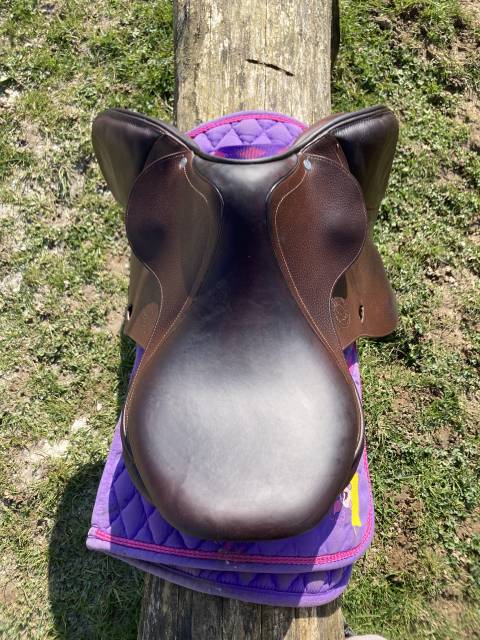 Selle Antares 17.5 2021