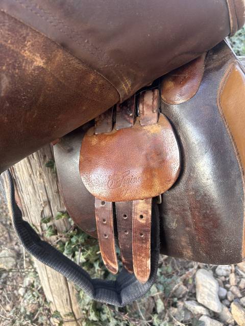 Selle mixte trainer’s Borel tout cuir