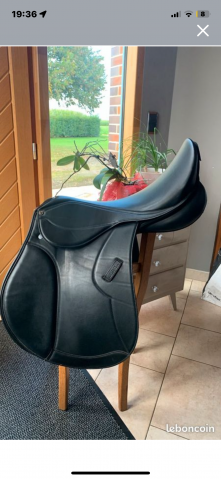Selle mixte Norton 18’