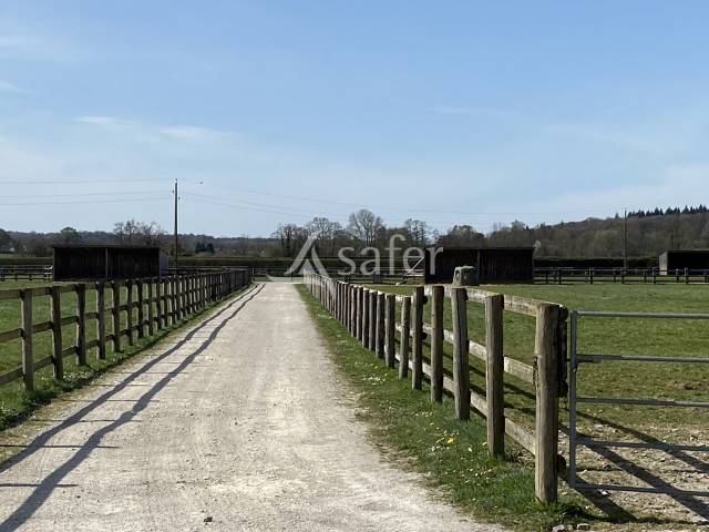 Haras d'élevage 77 hectares