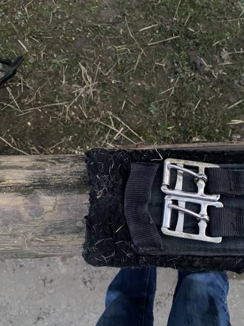 Selle de dressage Bates 