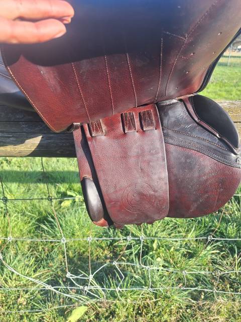 Selle seoul forestier 