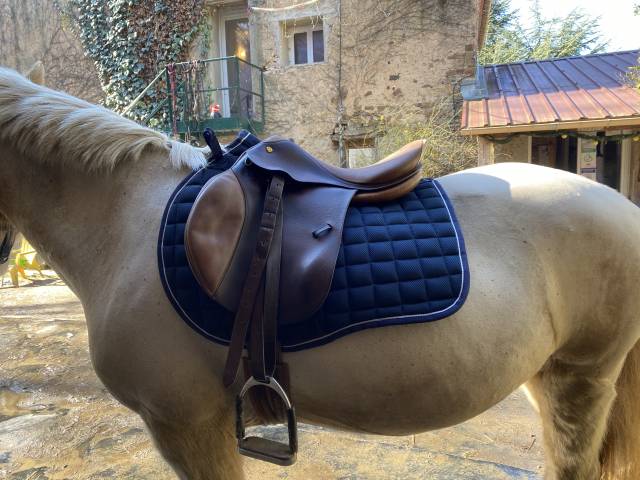 Selle prestige 17’´