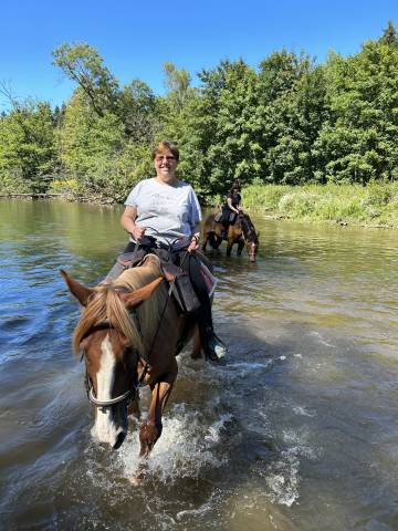 Balades à cheval au fil de la Semois