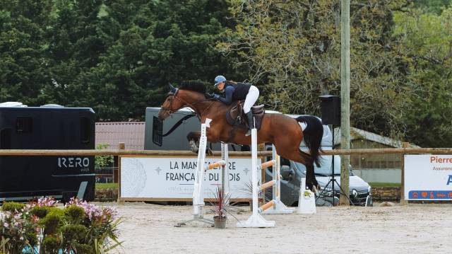Jument Cso / dressage 
