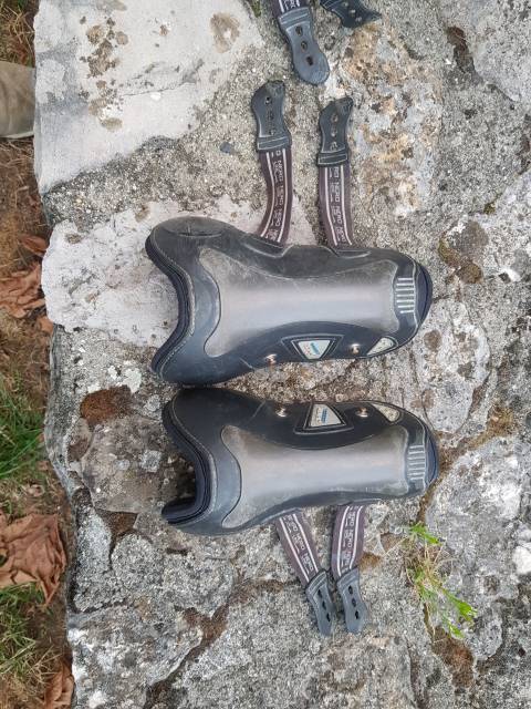 Protège-tendons et protège boulets CSO Veredus