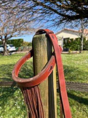 BRIDES VAQUERAS ESPAGNOLES EN CUIR FAITE A LA MAIN