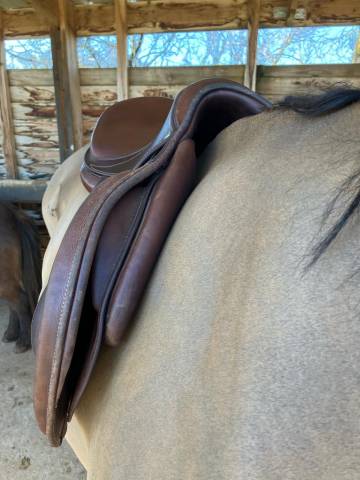 Selle Antares Signature édition limitée de 2021