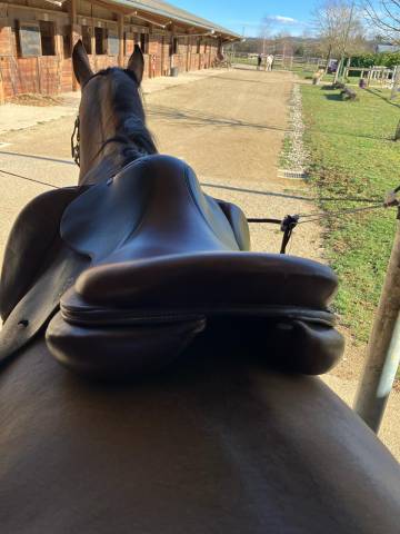 Selle Antares Signature édition limitée de 2021