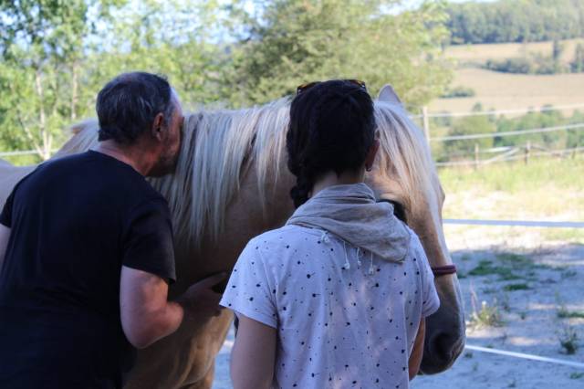 Formation equithérapeute (31j sur un an)