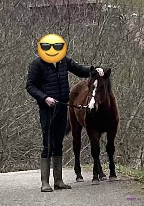 Ponette OC 
