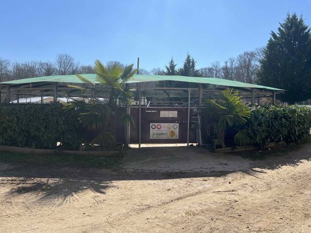 A vendre Marcheur 6 places 16 mètres de diamètre 