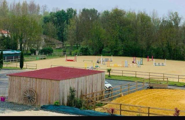 Pension pour chevaux - Écurie de Varaize 17400 Varaize