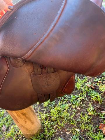 Selle Obstacle Antares Altair