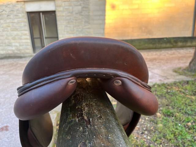 Selle Obstacle Antares Altair