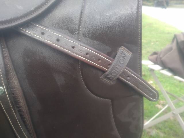 Selle mixte synthétique Norton marron