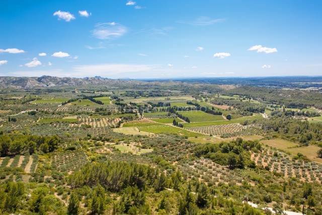 Domaine agricole sur près de 5 hectares