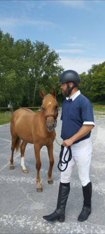 Pouliche Poney Français de Selle D