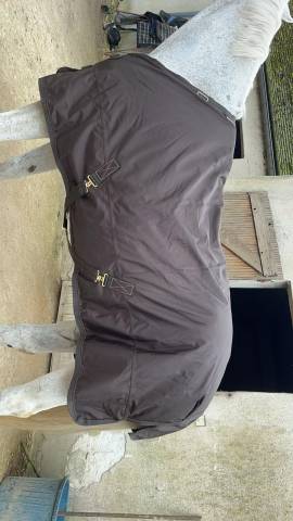 Coucouverture kentucky