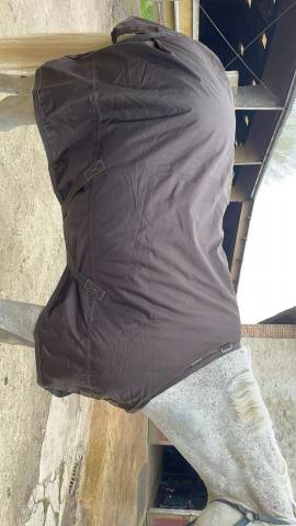 Coucouverture kentucky