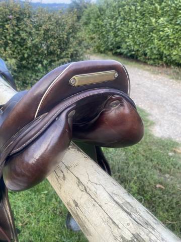 Selle Prestige modèle New Versailles doublé veau 2015