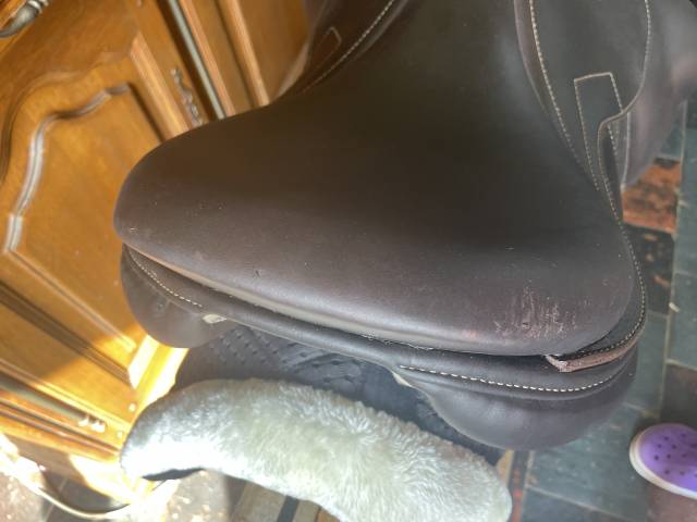 Selle Signature by Antares 