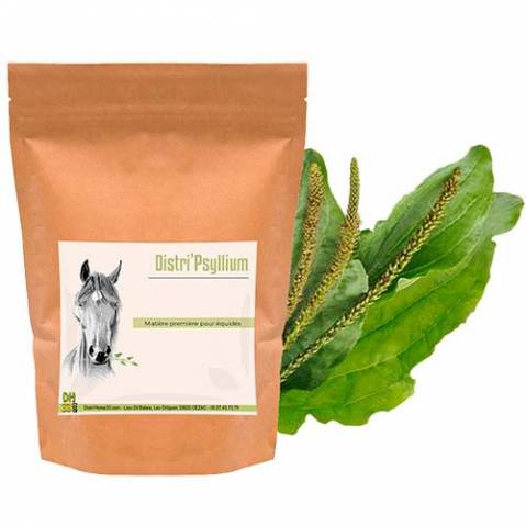 Psyllium cheval - colique de sable - Distrihorse33 - 5kg