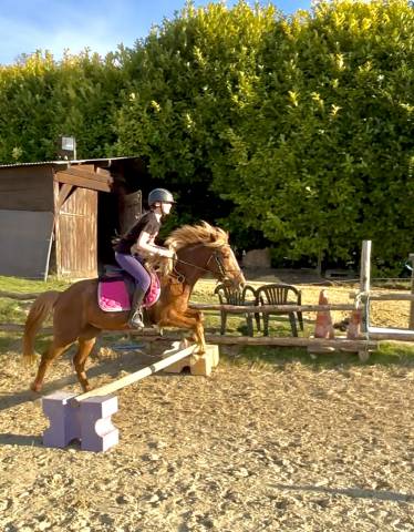 Ponette 4 ans origines constatées taille D 