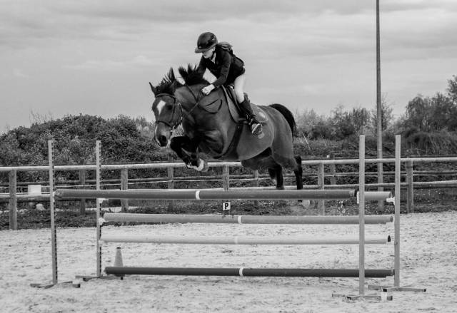 Cheval de cœur et de qualité