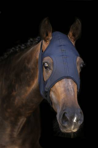 Masque Titanium sans oreilles Lamicell