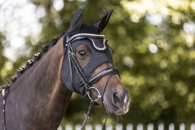 Masque Titanium sans oreilles Lamicell