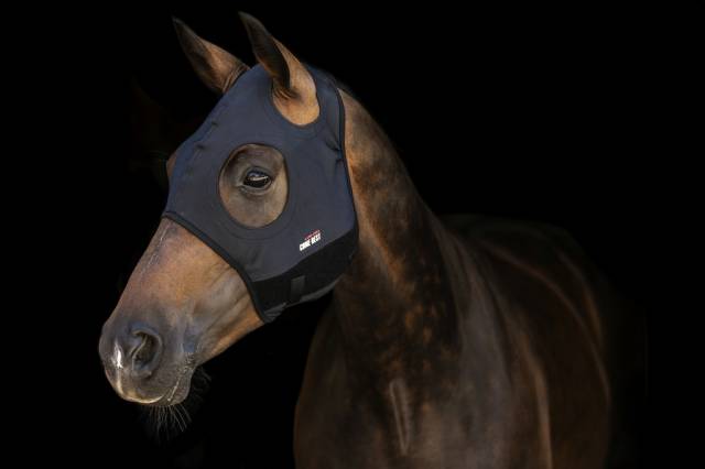 Masque Titanium sans oreilles Lamicell