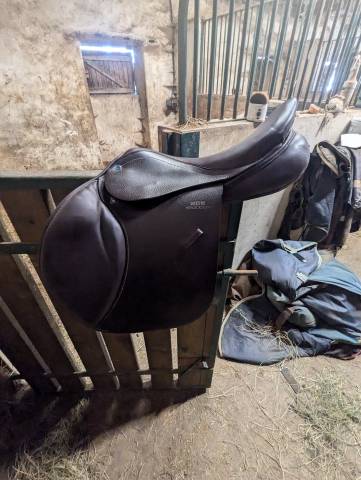 Selle Virginia S 17.5