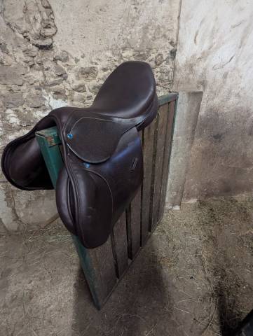 Selle Virginia S 17.5