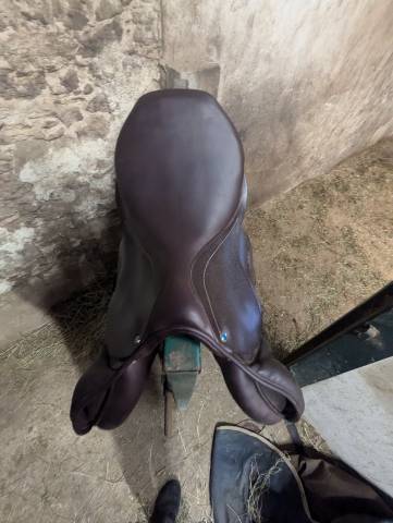 Selle Virginia S 17.5