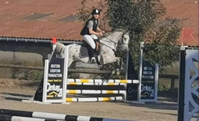 Cheval 