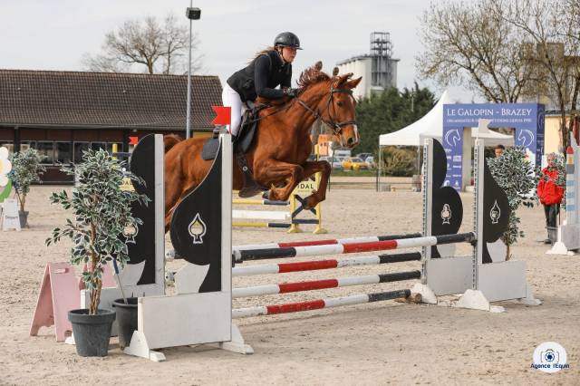 Jument 4 ans CSO
