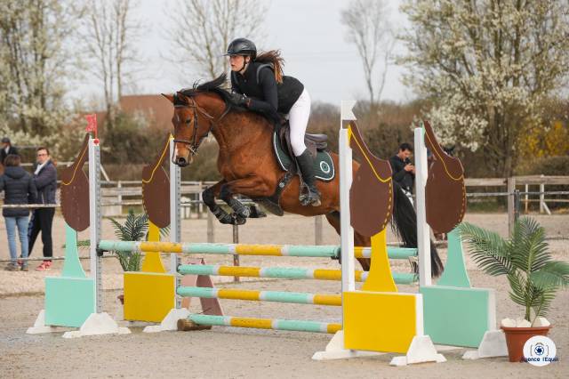 Jument 4 ans CSO