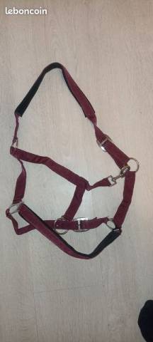 licol bordeaux