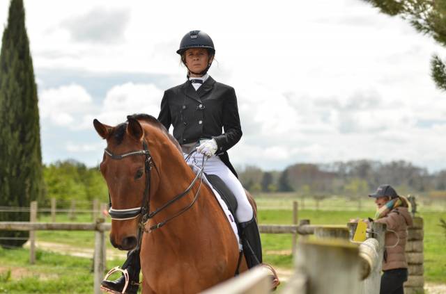 Écuries de dressage du Petit Malherbes 30470 Aimargues