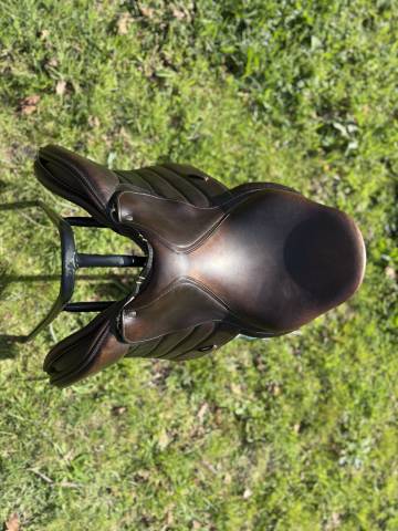 Selle Forestier Séoule 2023