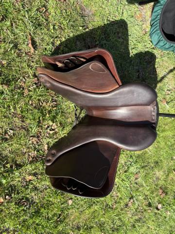 Selle Forestier Séoule 2023