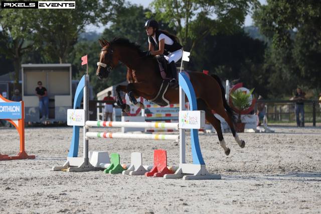 Vente jument de sport