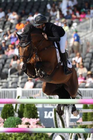 Poulain à naître - lignée championne du monde
