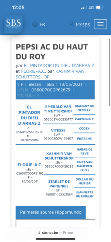 Poulinière 4 ans 