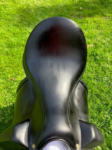 Selle Aulion noir, première main de 2019, taille 17,5