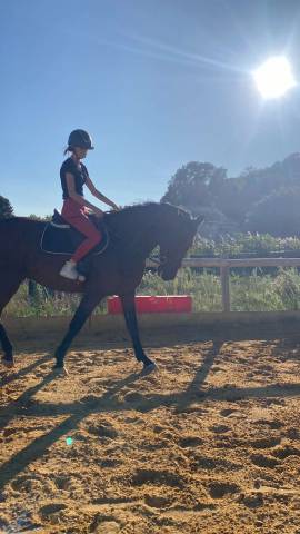 Cheval 11 ans 