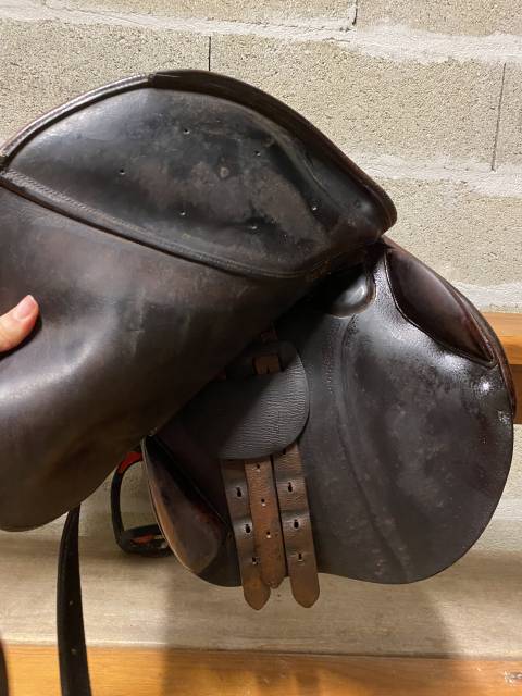 Selle delgrange Athena 17p 