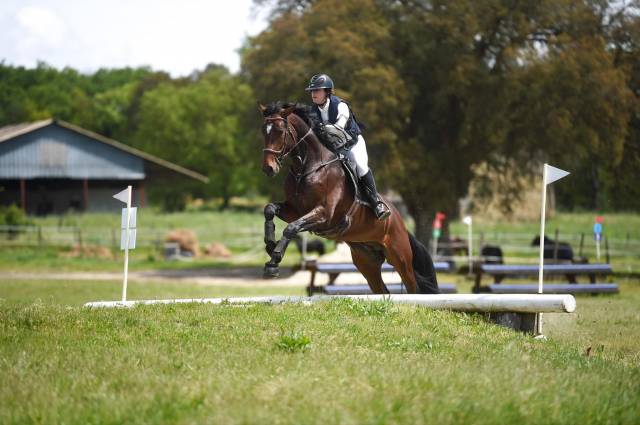 Superbe entier - 5 ans - cce