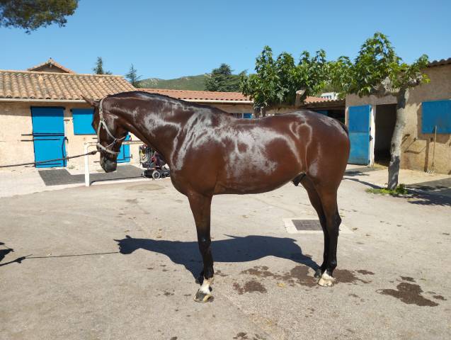 8 ans fils mighty magic 